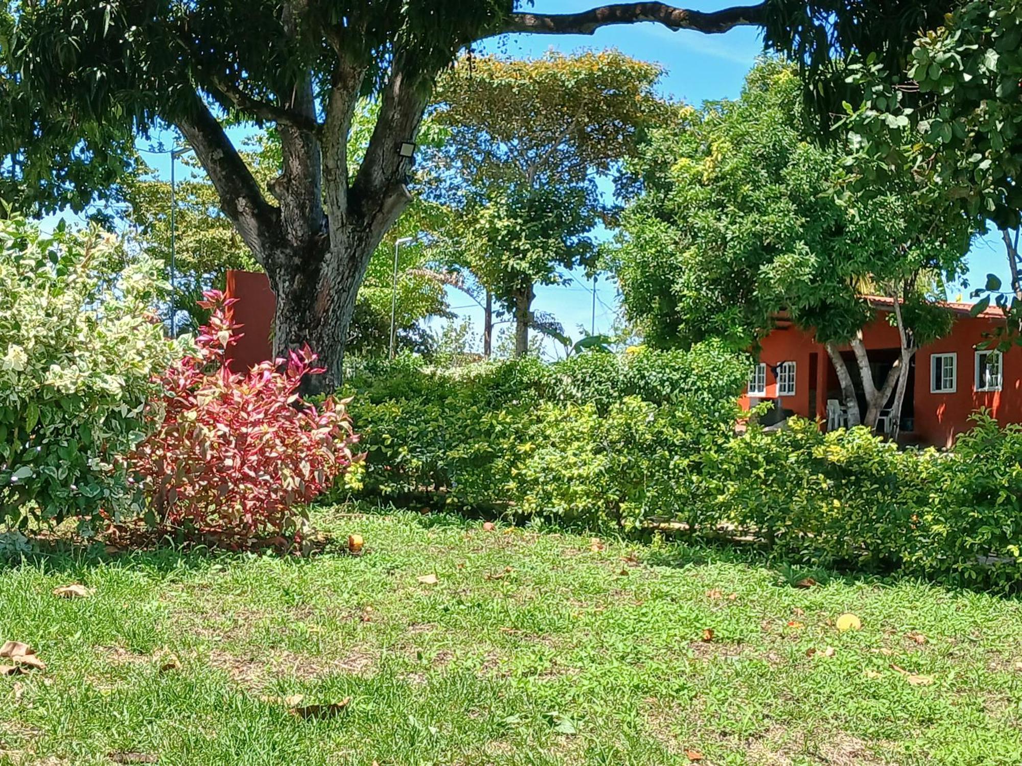 Hotel Cabanas Casita La Ermita 산 카를로스 외부 사진