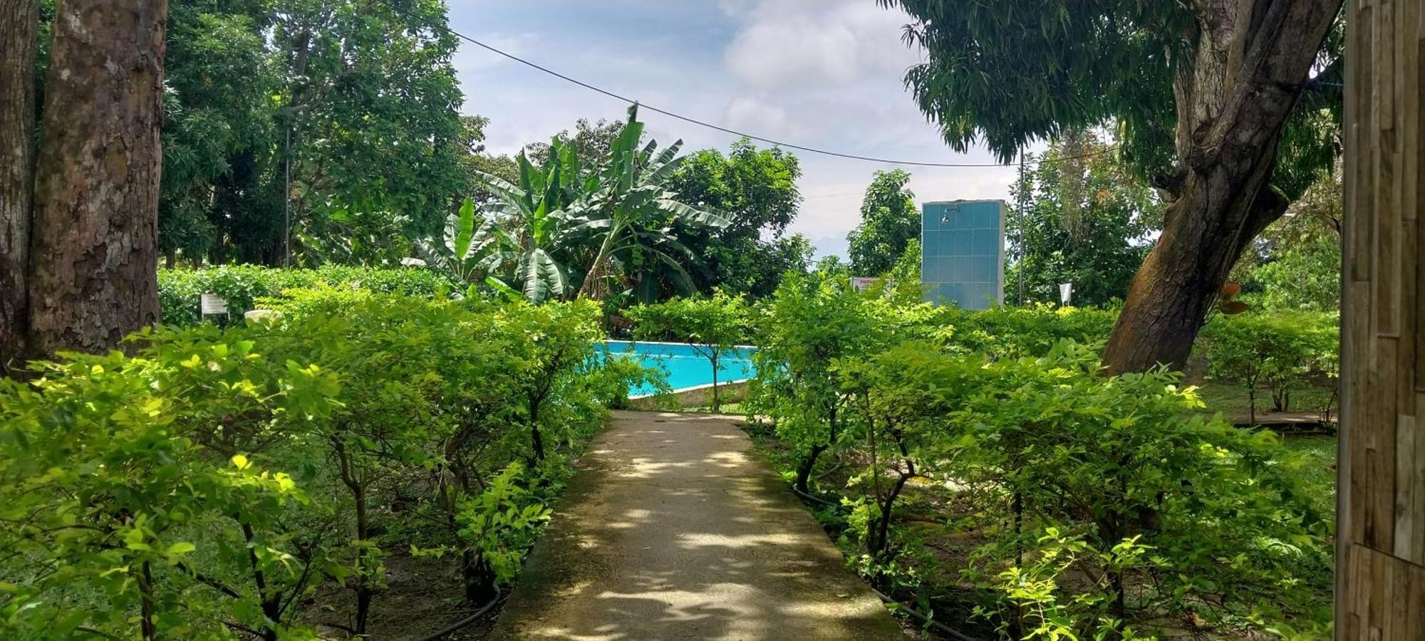 Hotel Cabanas Casita La Ermita 산 카를로스 외부 사진